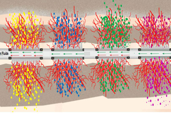 Quantum Dot Tracer Production Liquid Profile Testing Technology